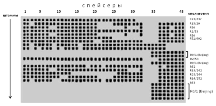 image6
