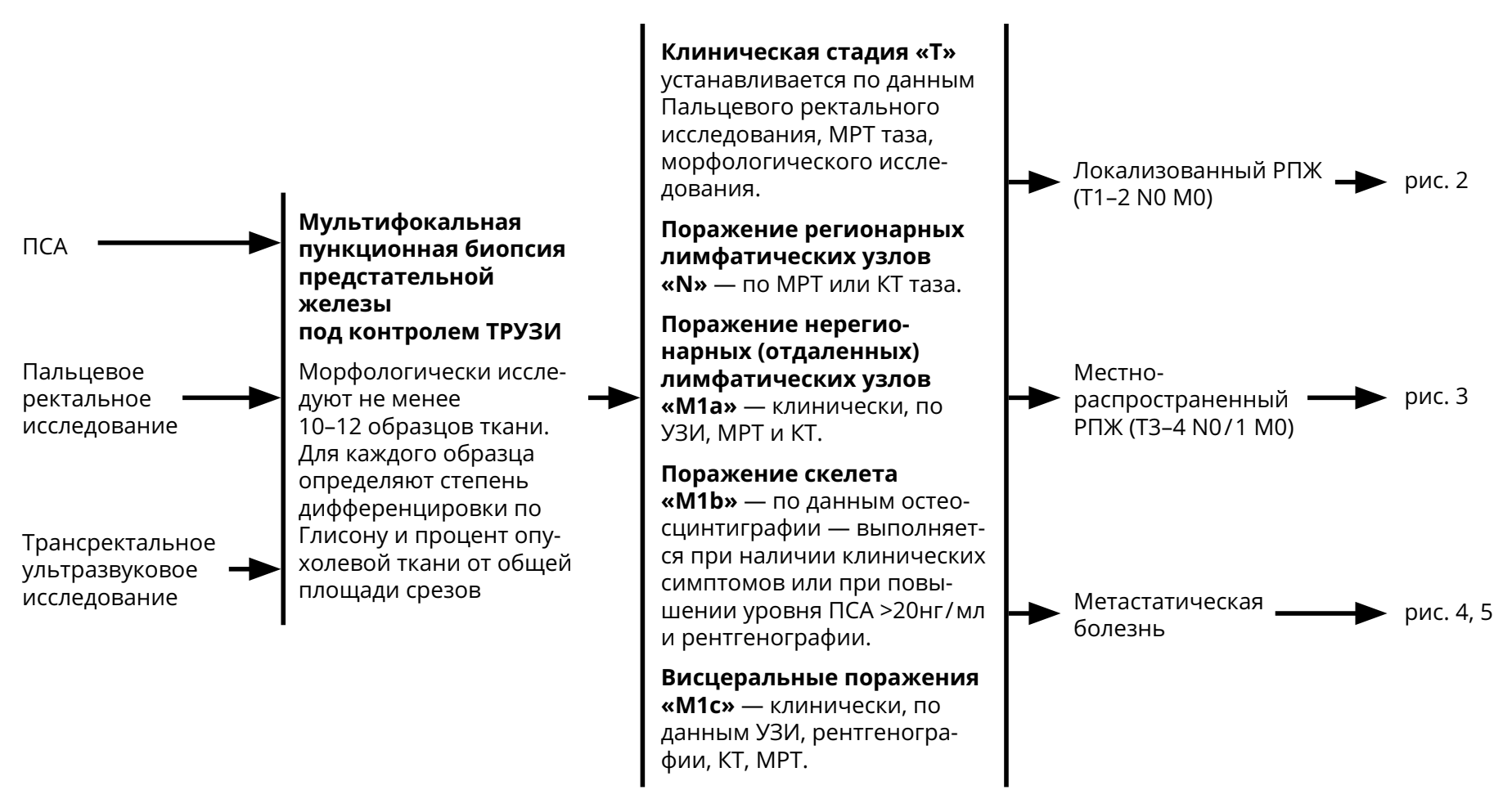 ris1