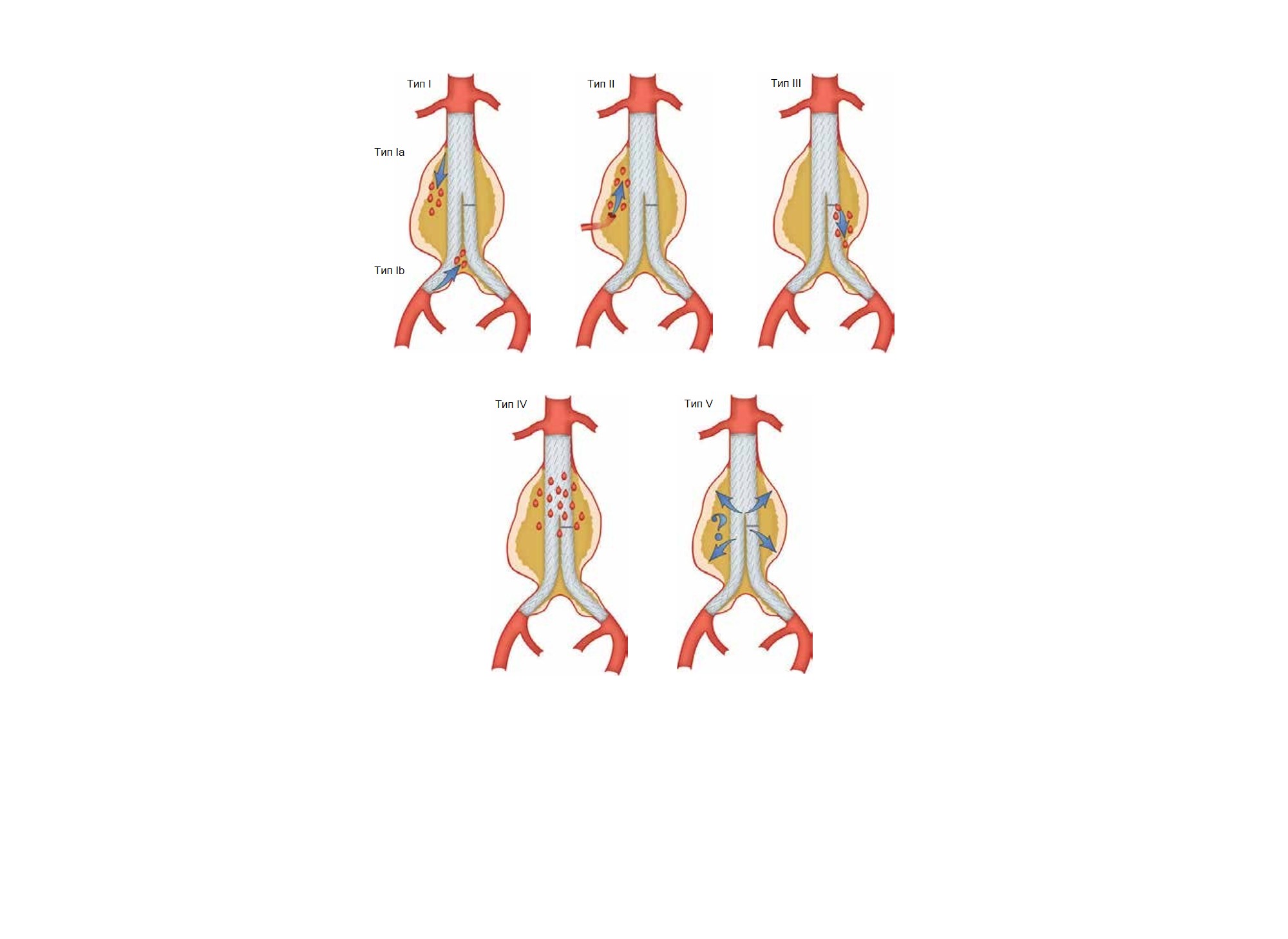 image43