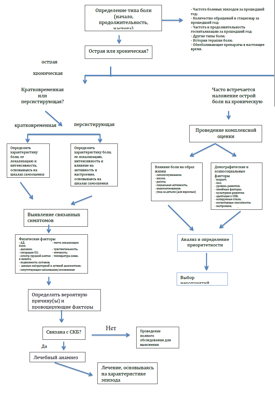 schema