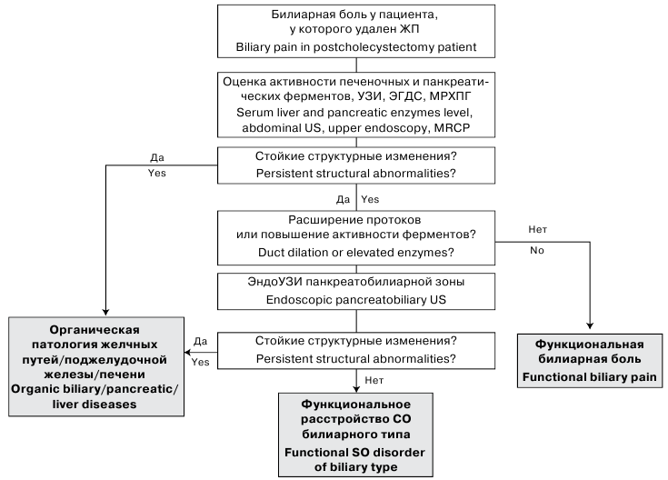 Дискинезия желчевыводящих путей или желчного пузыря