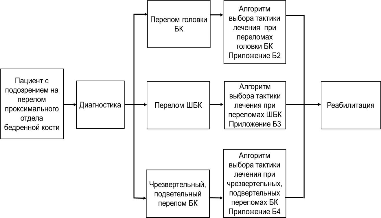 image12
