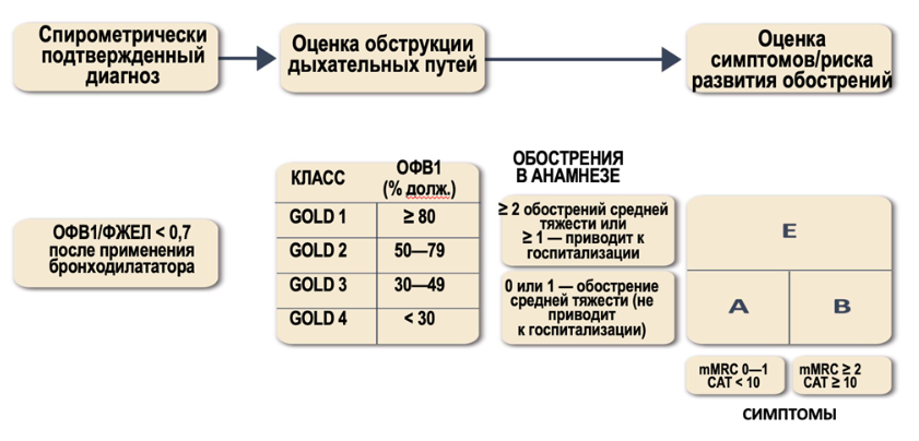 ris1