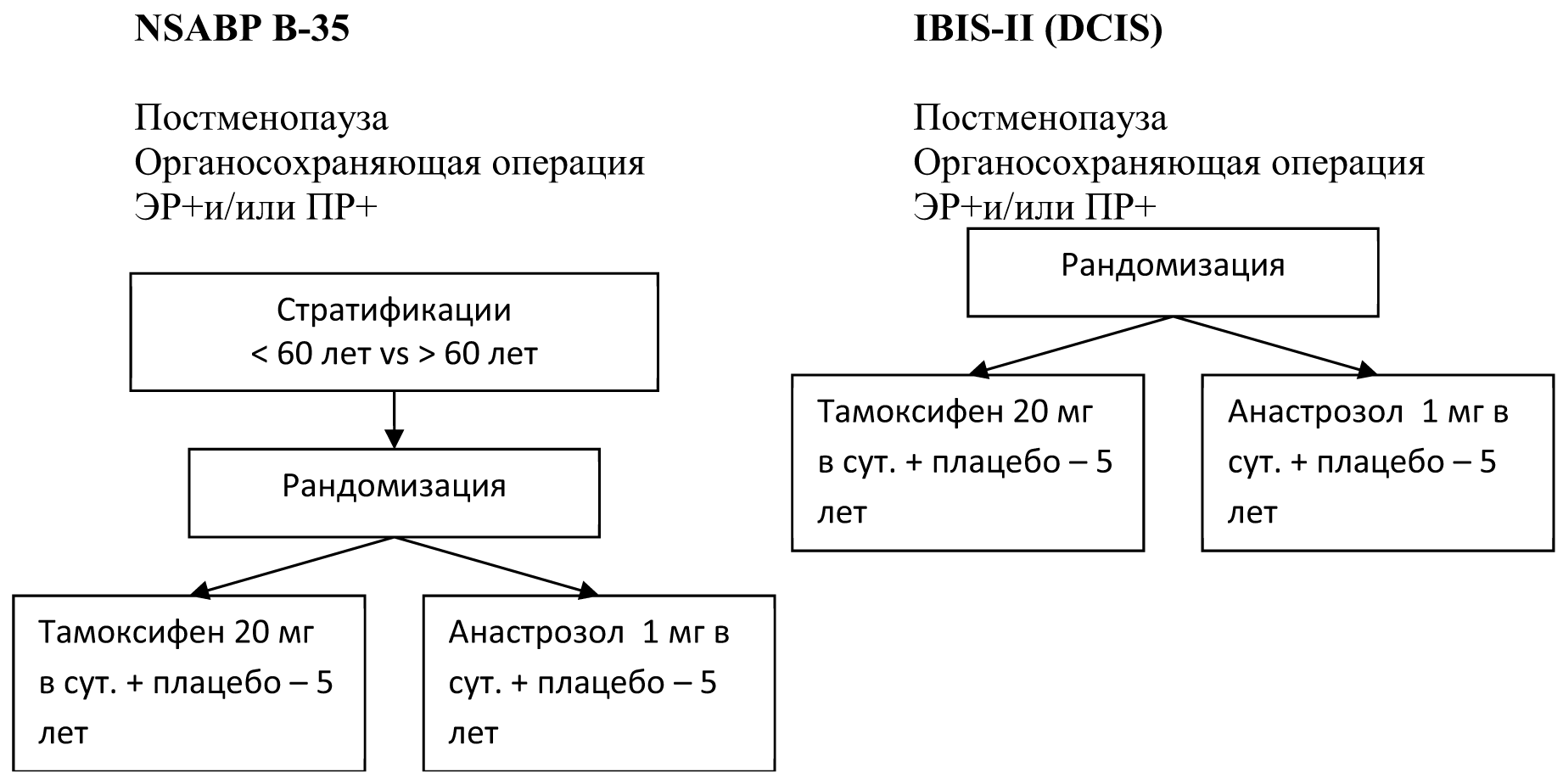ris1