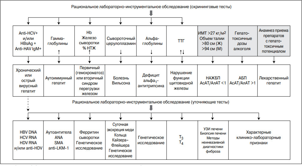 Алкогольная болезнь печени клинические рекомендации тесты нмо