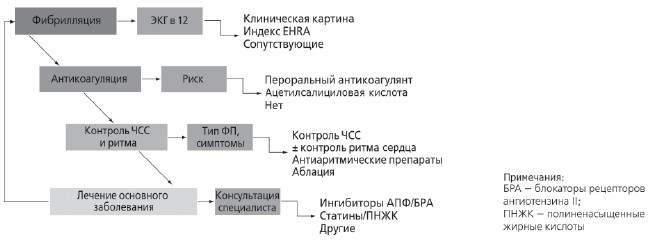 image6