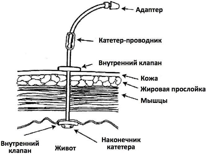 image8