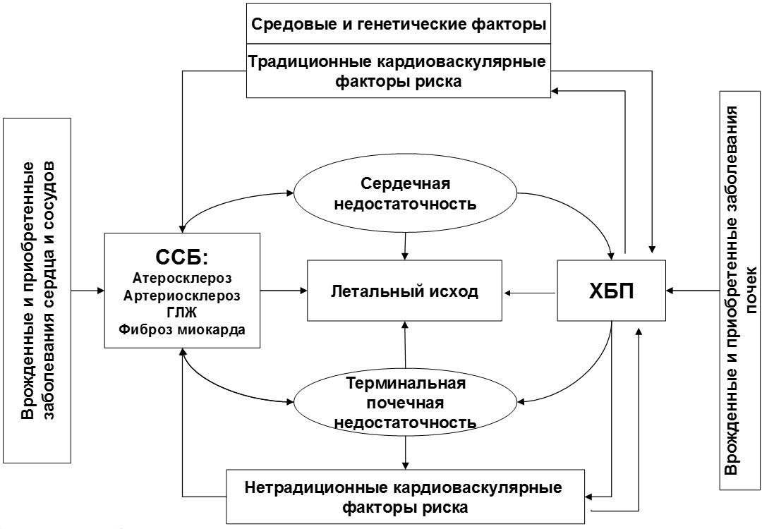 Механизм формирования хбп при сд схема