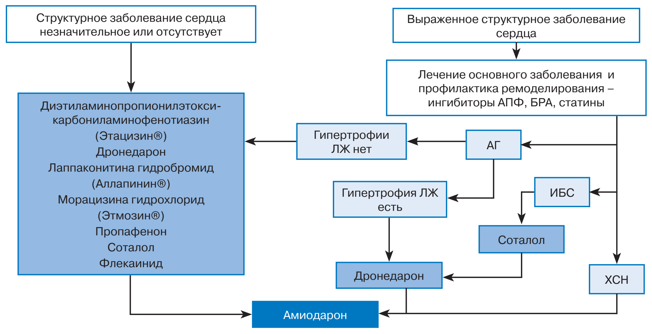 ris12