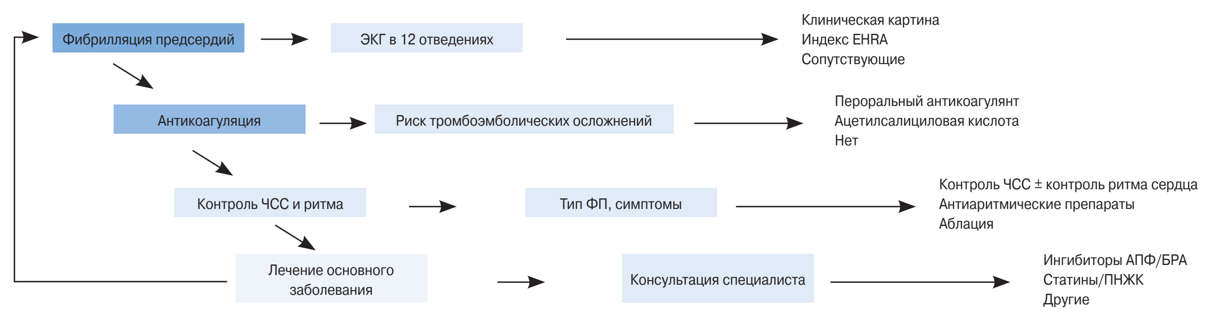 ris3