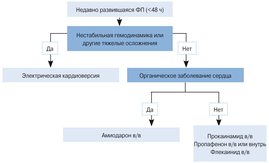 ris7