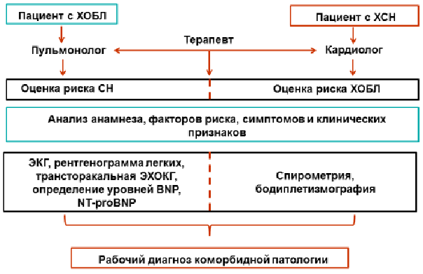 algo5