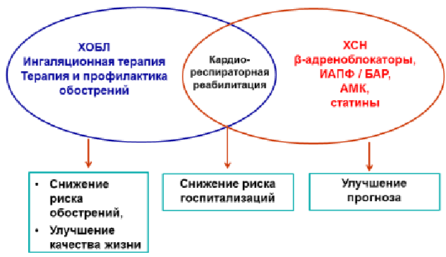 algo8