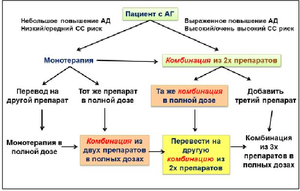 algo8