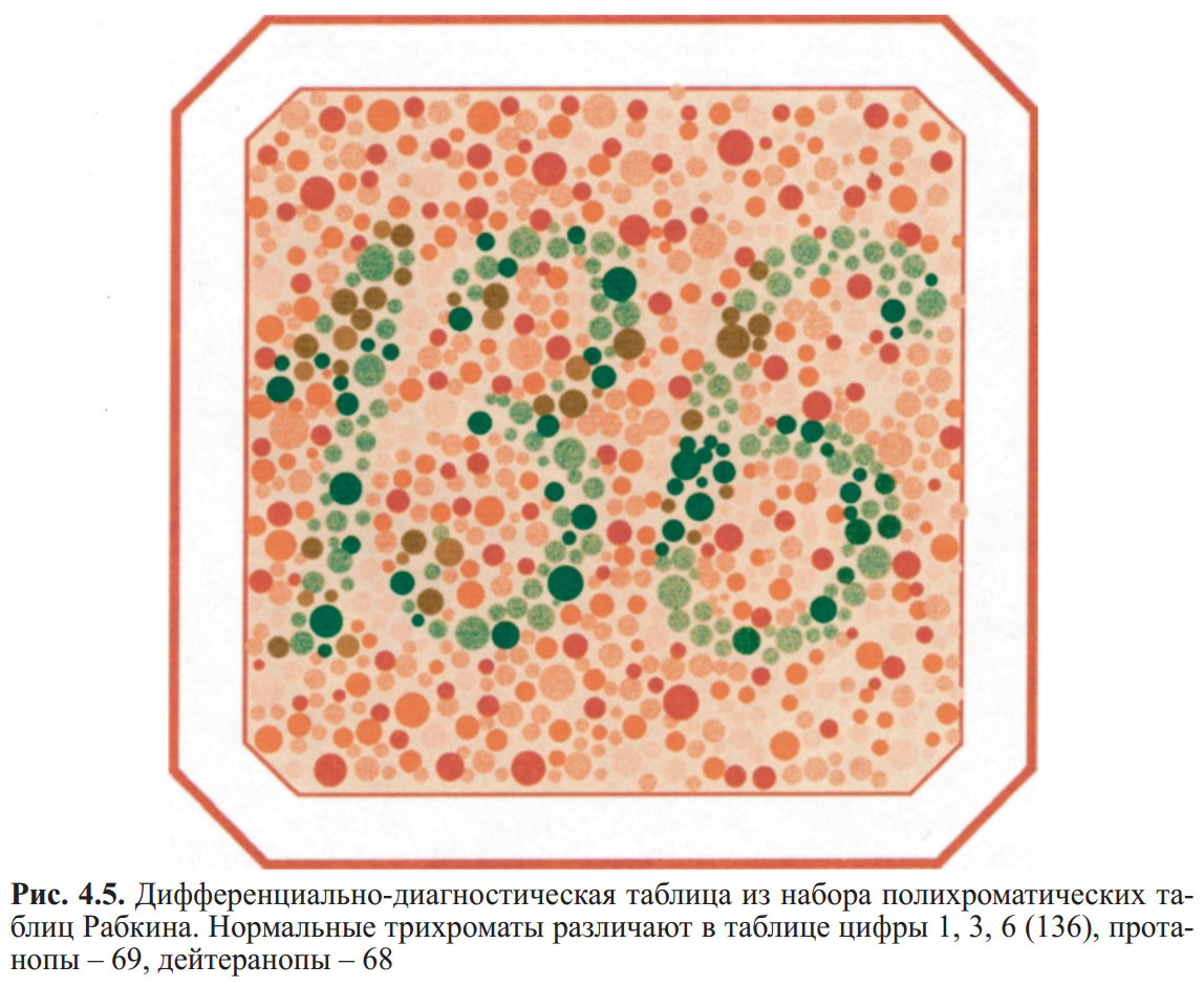 Рабкин таблица. Таблица для исследования цветоощущения Рабкина. Таблица Рабкина 136. Полихроматические таблицы е.б. Рабкина. Исследование зрения по таблицам Рабкина.