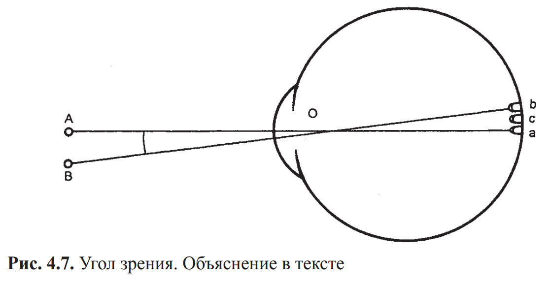 Угол зрения. Угол зрения и острота зрения. Зрительная ось оптические параметры. Центральное зрение. Острота центрального зрения.. Схематическое изображение угла зрения.