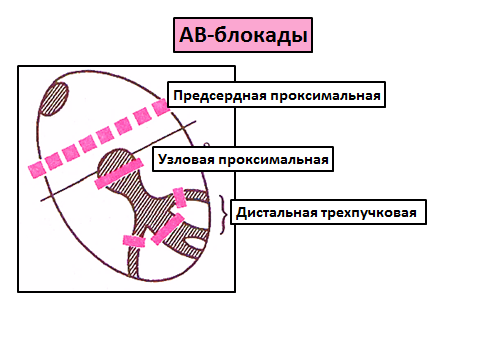 2 1 5 html d795e09d