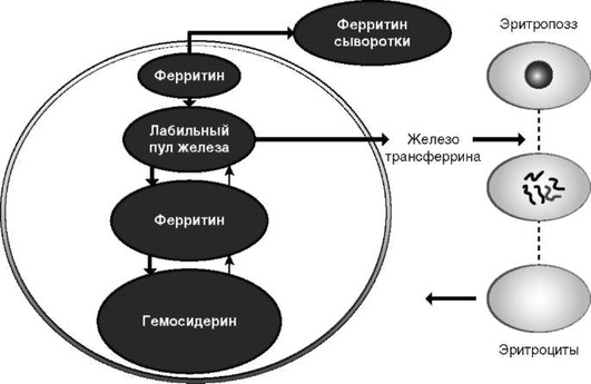 pic 0001