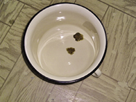 img21