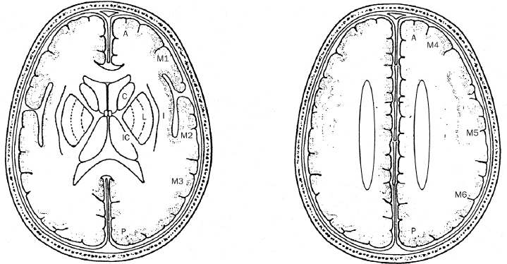 image11