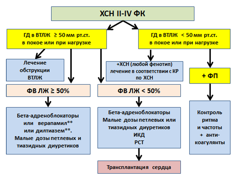ris4