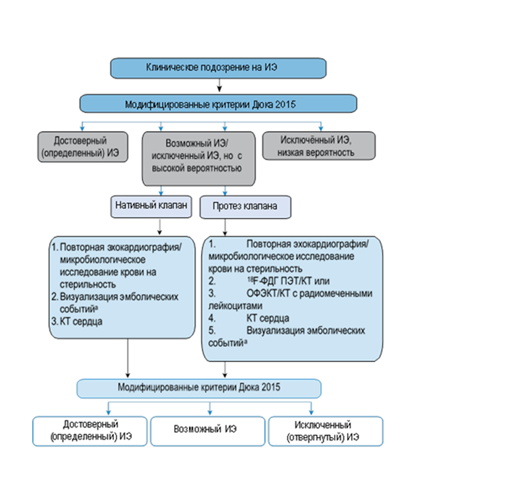 Инфекционный эндокардит план обследования