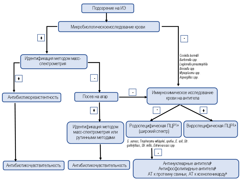 Инфекционные алгоритмы. Алгоритм ведения пациента с аш. Эндокардит клинические рекомендации. Алгоритм ведения пациента дневного стационара. Инфекционный эндокардит клинические рекомендации 2022.