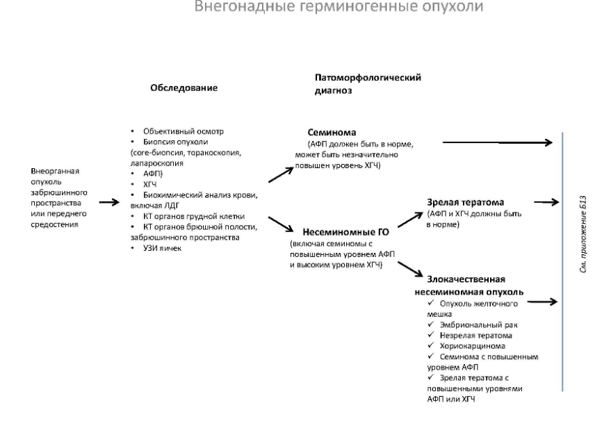 Герминогенные опухоли у мужчин. Внегонадные герминогенные опухоли. Герминогенная опухоль средостения. Внегонадная герминогенная опухоль средостения.