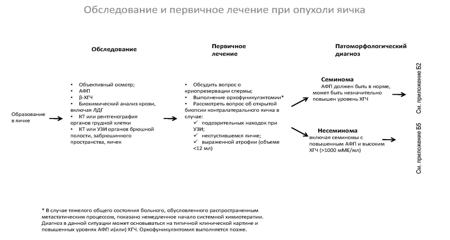 image6