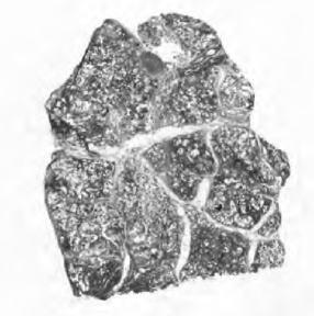 image6