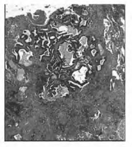 image8
