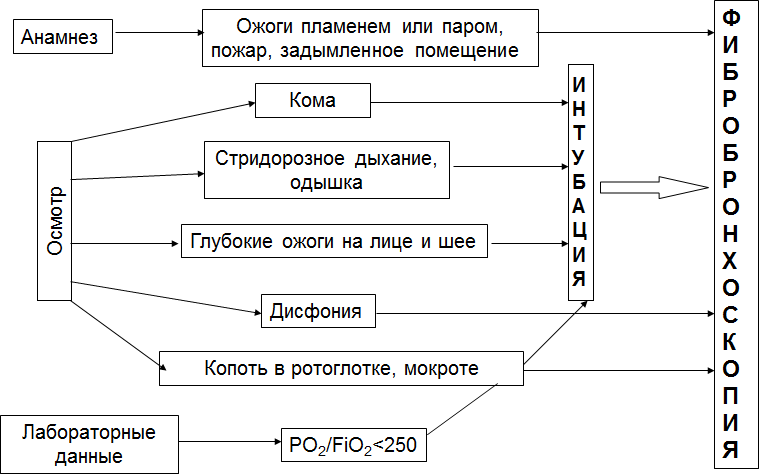image6