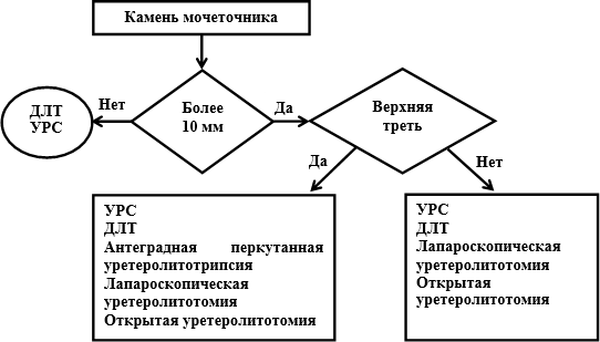 image6