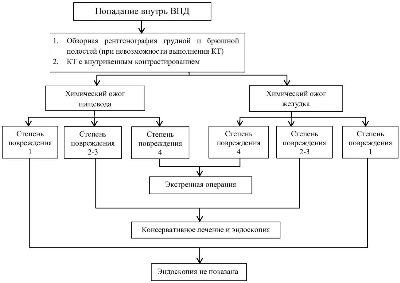 Ожог пищевода клинические рекомендации. Ожоги пищевода клинические рекомендации. Химические ожоги пищевода патогенез. Химические ожоги пищевода клинические рекомендации. Принципиальная схема лечения ожогов.