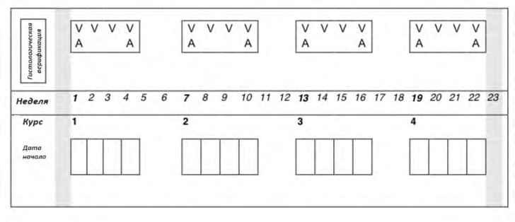 image8