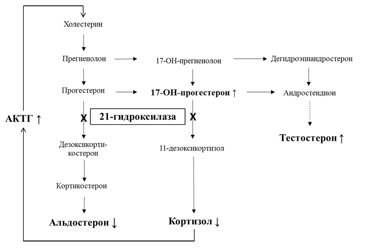 ris1v