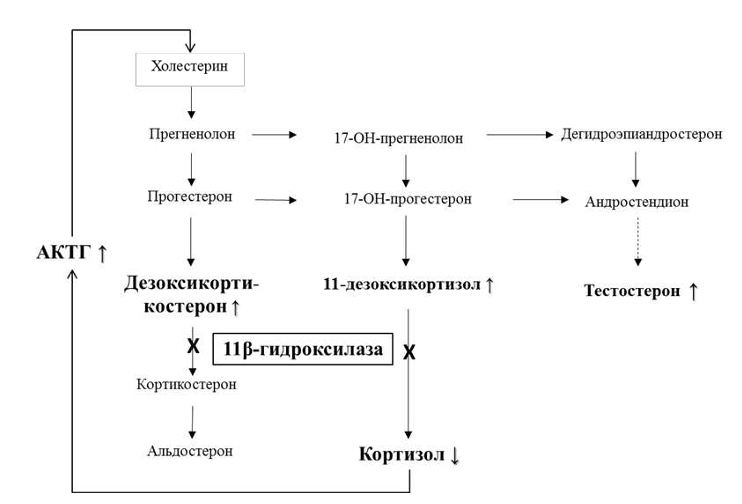 ris2