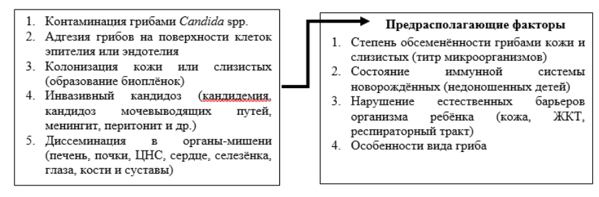 ris1