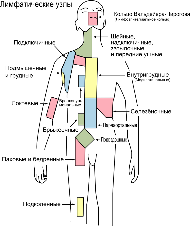 image26