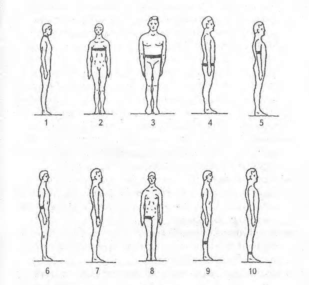 image28