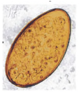 img20