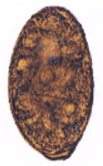 img22