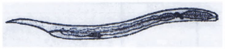 img49