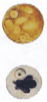 img72