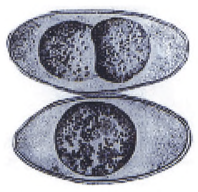 img79