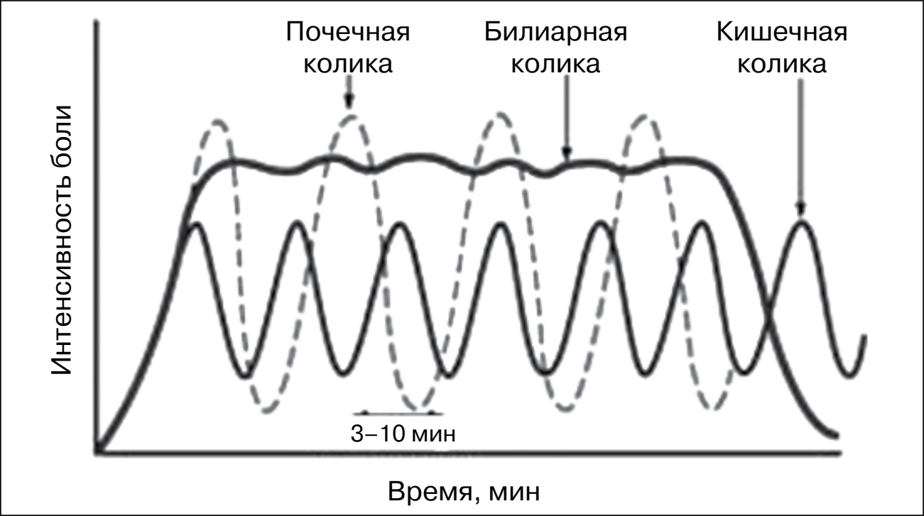 ris2