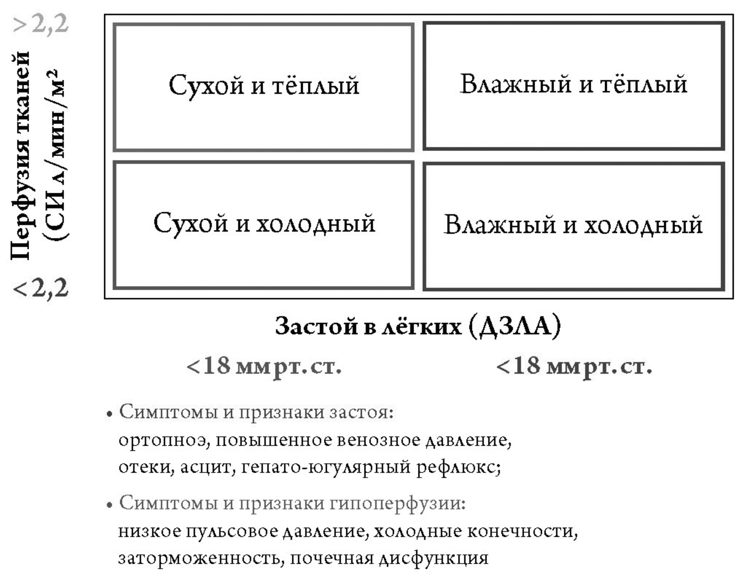 Хроническая сердечная недостаточность (ХСН)