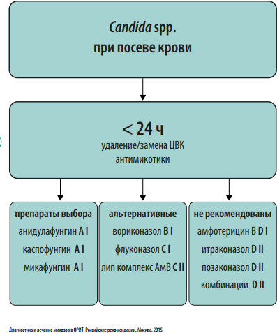 Стратегия контроля антибактериальной терапии. Стратегия контроля антимикробной терапии.