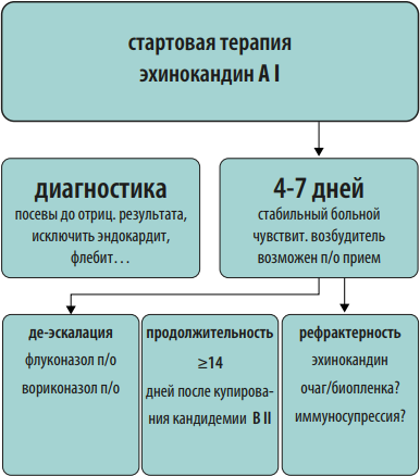 Стратегия контроля антибактериальной терапии. Стратегия контроля антимикробной терапии. Контроль антибактериальной терапии.