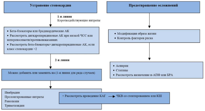 ris10 1